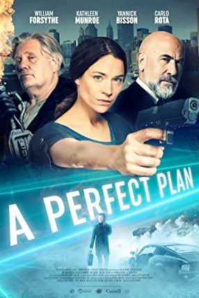 A Perfect Plan 2020 movie poster - watch and download free