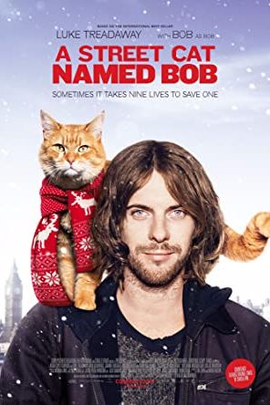 A Street Cat Named Bob 2016 movie poster - watch and download free