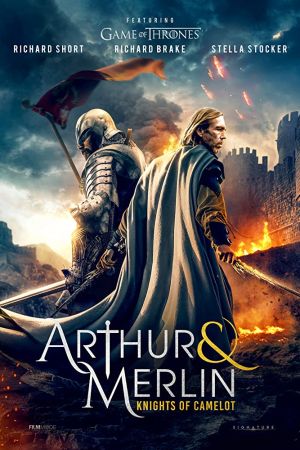 Arthur & Merlin: Knights of Camelot 2020 movie poster - watch and download free