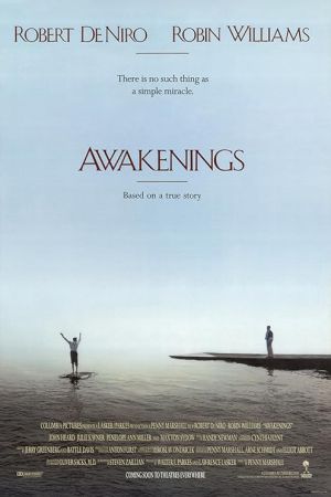 Awakenings 1990 movie poster - watch and download free