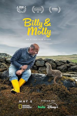 Billy & Molly: An Otter Love Story 2024 movie poster - watch and download free