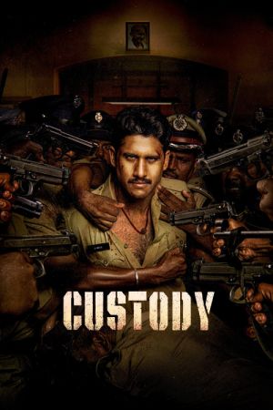 Custody 2023 movie poster - watch and download free
