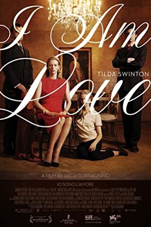 I Am Love 2009 movie poster - watch and download free
