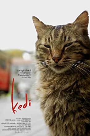 Kedi 2016 movie poster - watch and download free