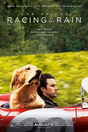 The Art of Racing in the Rain 2019 movie poster - watch and download free