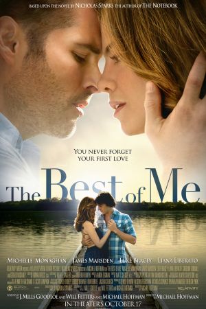 The Best of Me 2014