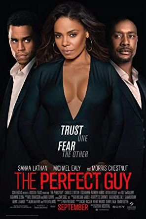 The Perfect Guy 2015 movie poster - watch and download free