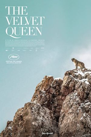 The Velvet Queen 2021