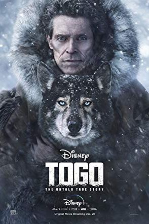 Togo 2019 movie poster - watch and download free