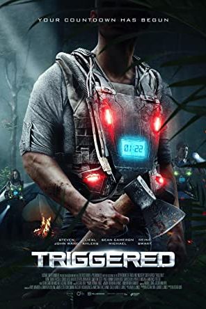 Triggered 2020 movie poster - watch and download free